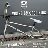 Titanium Frame by Viking BMX